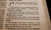 104257596_cb1505352f[1]