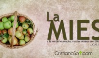 La_Mies_mid