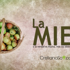 La_Mies_mid