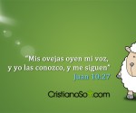 Mis_Ovejas_mid