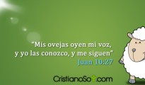 Mis_Ovejas_mid