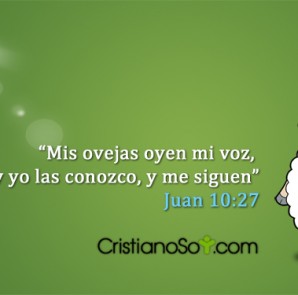 Mis_Ovejas_mid