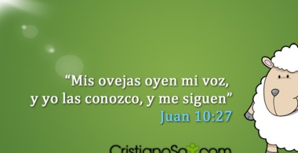 Mis_Ovejas_mid