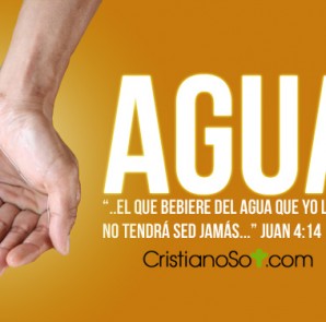 agua_viva_mid