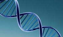 adn_gen_malo