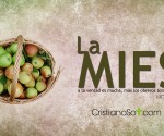 La_Mies_mid