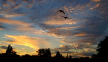 Copyright Ali Catterall - Flickr