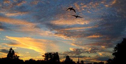 Copyright Ali Catterall - Flickr
