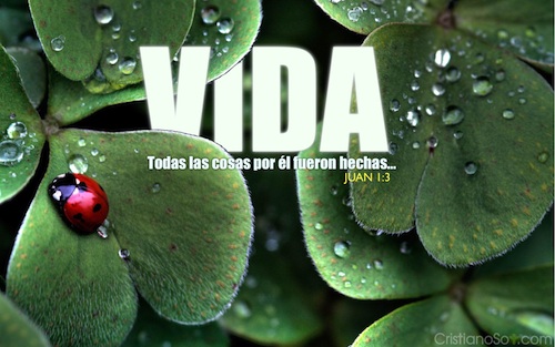 Vida min Descargas